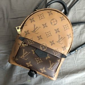 Louis Vuitton mini Palm Springs back reverse